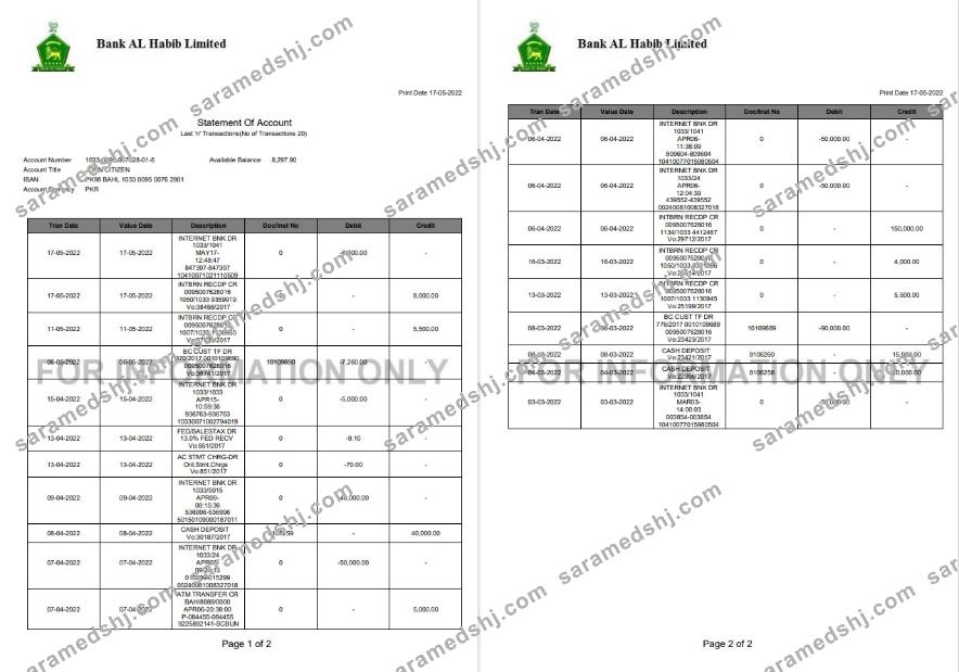 Pakistan Bank Al Habib statement 2 pages